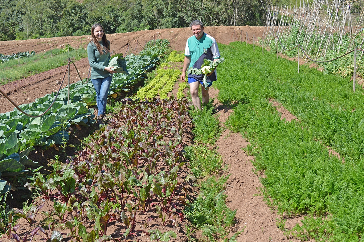 O agricultor Rafael Pradella e a irmã Stela plantam alguns dos alimentos orgânicos que estarão disponíveis todas as sextas feiras. - Camila Baggio/O Florense
