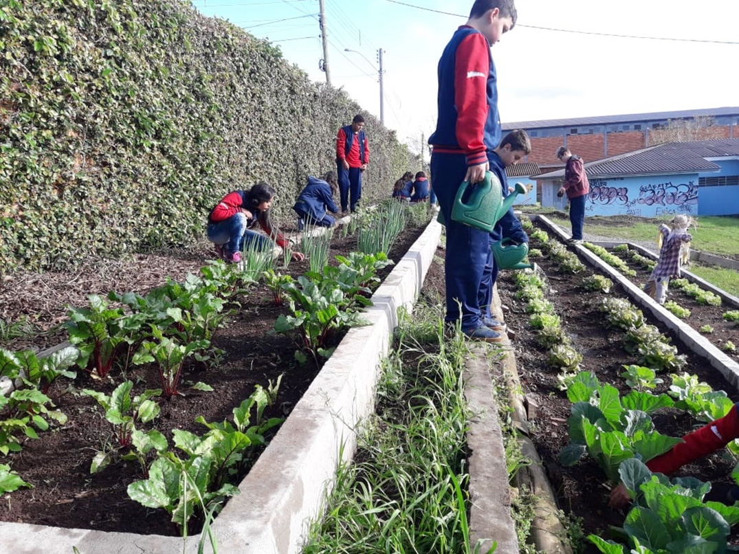 Alunos se dedicam na horta da escola. - Prefeitura de Flores da Cunha/Divulgação