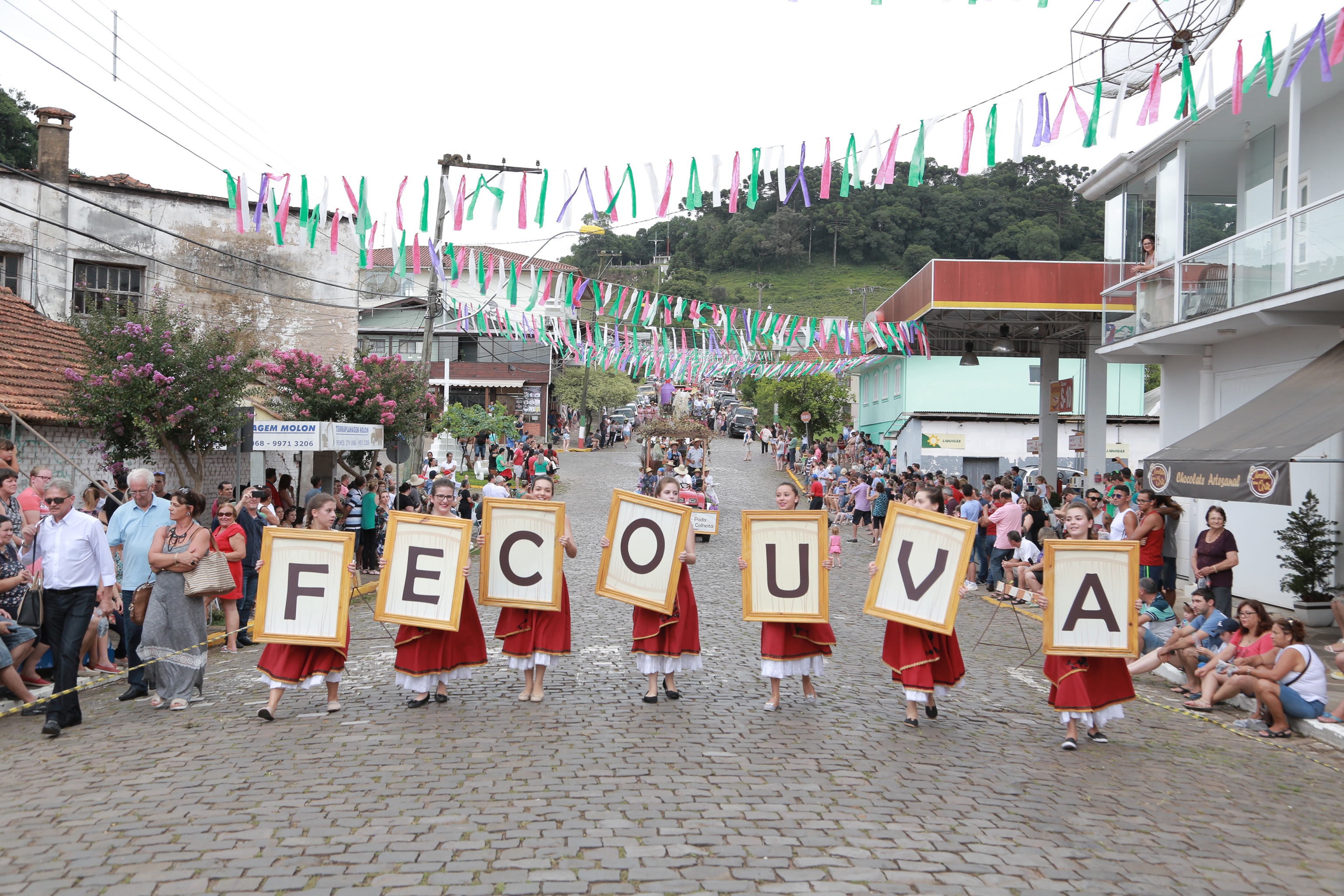 Milhares de pessoas apreciaram o desfile de carros alegóricos na 13ª Fecouva, em 2017. - Airton Nery/ Divulgação