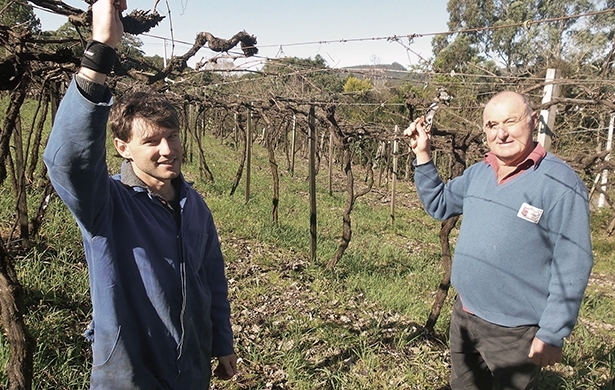 Tiago (E) e Antonio Caldart esperam ampliar a qualidade das frutas cultivadas no Travessão Martins. - Camila Baggio